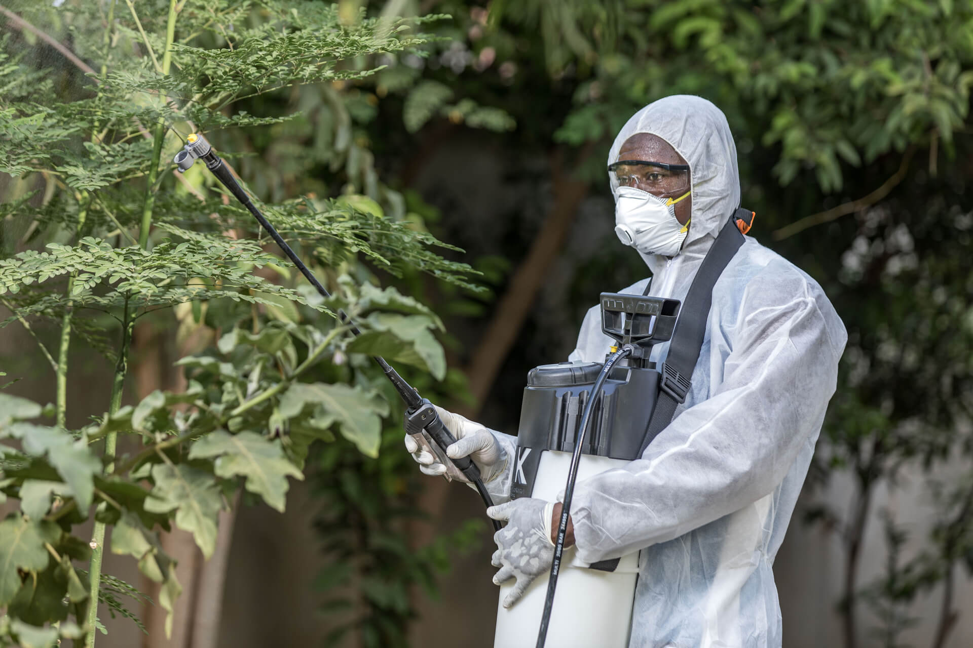 Désinfection professionnelle